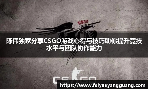 陈伟独家分享CSGO游戏心得与技巧助你提升竞技水平与团队协作能力